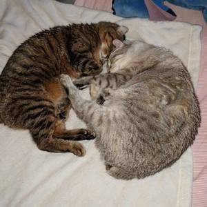 Meet your Posher, Barbara